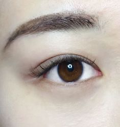 -BELLAREAL新美社