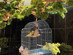 -同庆楼(天鹅湖万达店)