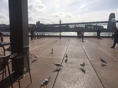 -悉尼歌剧院