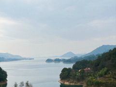 -浔味·山屿湖·正宗淳牌全鱼宴老字号