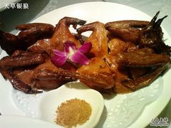 乳鸽-新锦田大酒店(阳曲路店)