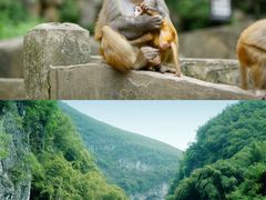-统景温泉