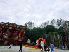 -合肥滨湖国家森林公园