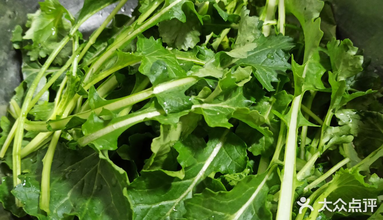 我超听劝!!这菜能生吃么?举着饭碗等回复!