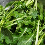 我超听劝!!这菜能生吃么?举着饭碗等回复!