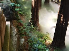 -国家植物园