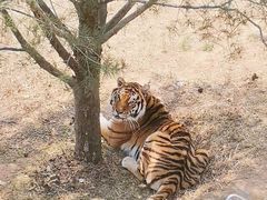 -石家庄市动物园