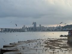 -星海广场