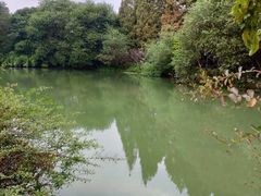 -西湖风景区-江洋畈生态公园