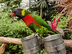 -南宫五洲植物乐园