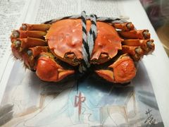 -丫丫蟹庄·苏式园林农家乐·阳澄湖大闸蟹(阳澄湖莲花岛店)