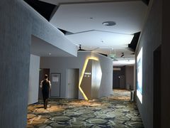 -星河寰宇IMAX影城(星河WORLD·COCO Park店)