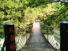 -温州永嘉书院