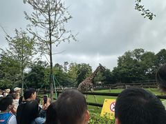 -成都动物园