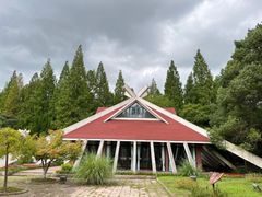 -东平国家森林公园