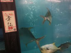 -万山楼海鲜酒家·二十三年老字号