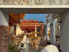 -Blue Concept Cafe&Farm·關於藍