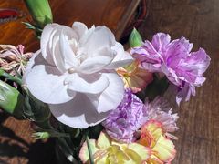 -月栖华明-云间草堂清茶馆(泗泾古镇店)