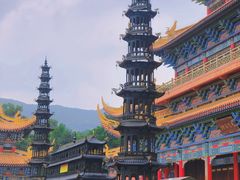 -东莞市大岭山森林公园