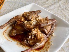 -百利鸽王(紫薇路店)