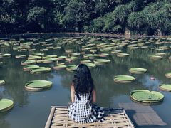 -中国科学院西双版纳热带植物园