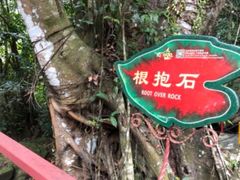 -呀诺达热带雨林