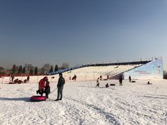 -绿野森林乐园冰雪季