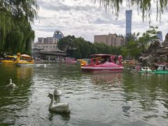 -团结湖公园
