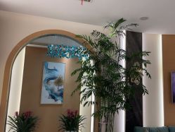 -雅曼妮spa美容养生