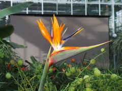 -国家植物园南园