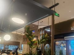 -一沙一城·岩烤牛扒(深圳首店)