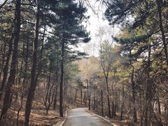 -沈阳辉山风景区