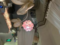 -PARFUM FLORAL花境法餐(南京首店)