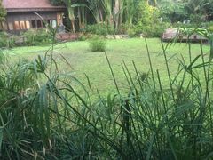 -亚马逊丛林水乐园