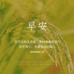 -香薇妮丝女子减肥院