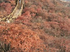 -水峪民俗村