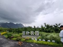 -北京凤凰岭