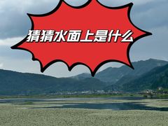 -腾冲北海湿地
