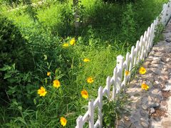 -金龙寺国家森林公园