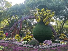 -杭州植物园