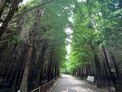 -捞渔河湿地公园