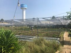 -Ohkajhu Organic Farm Sansai