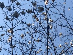 -上海市龙华烈士陵园