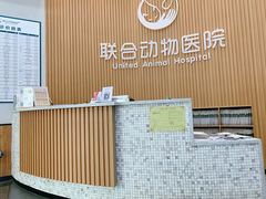 -联合动物医院(光谷诊疗中心)