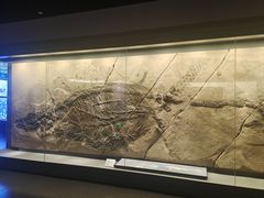 -贵州省地质博物馆