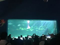 -常州海昌海洋探索馆
