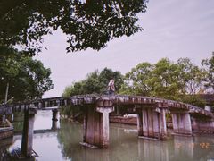 -金泽古镇
