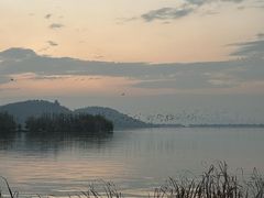 -东湖落雁景区