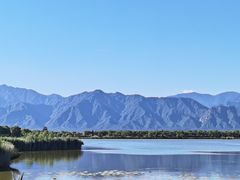 -野鸭湖国家湿地公园