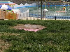 -青龙湖公园